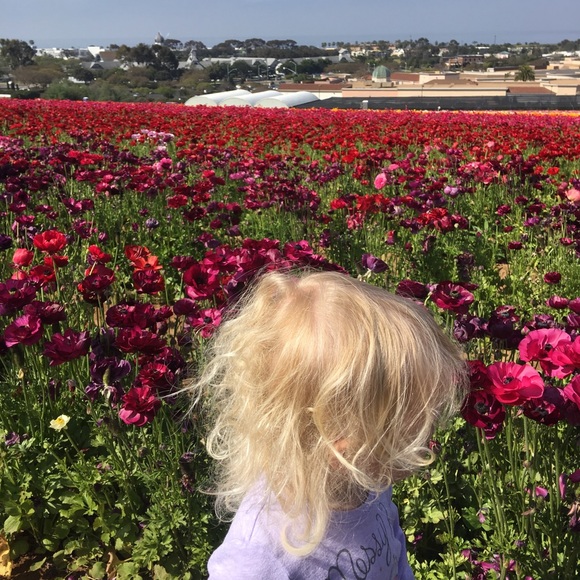 Meet your Posher Ashley β€οΈ - Picture 3 of 4